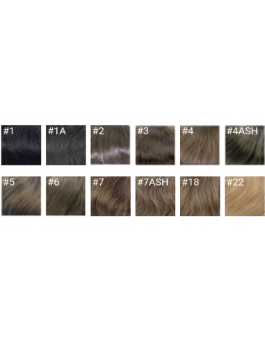 CABELLO REAL Champion Remy