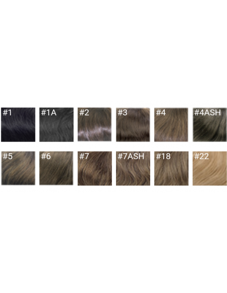 CABELLO REAL Champion Remy